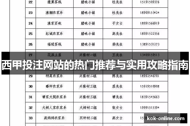 西甲投注网站的热门推荐与实用攻略指南